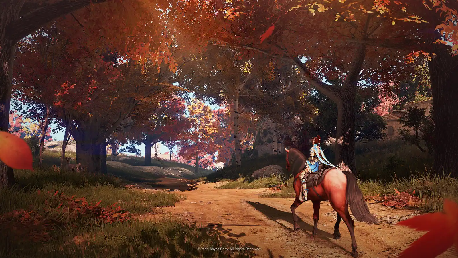 Black Desert Online — кадр 5 из 8
